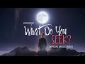 What Do You Seek? | Song Out Now | Gym Motivation × Music