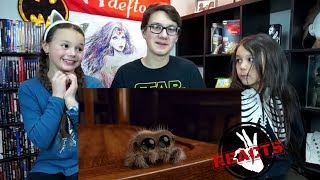 Lucas the Spider Reaction!!! Sooo Cute!!! screenshot 5