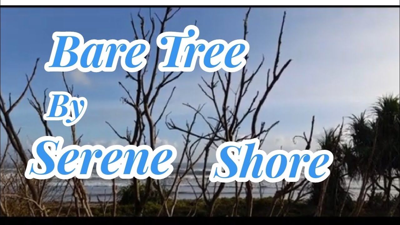 The Peaceful Scene Invites Relaxation And Calmness#naturelovers#oceanview#SeasideSetenity