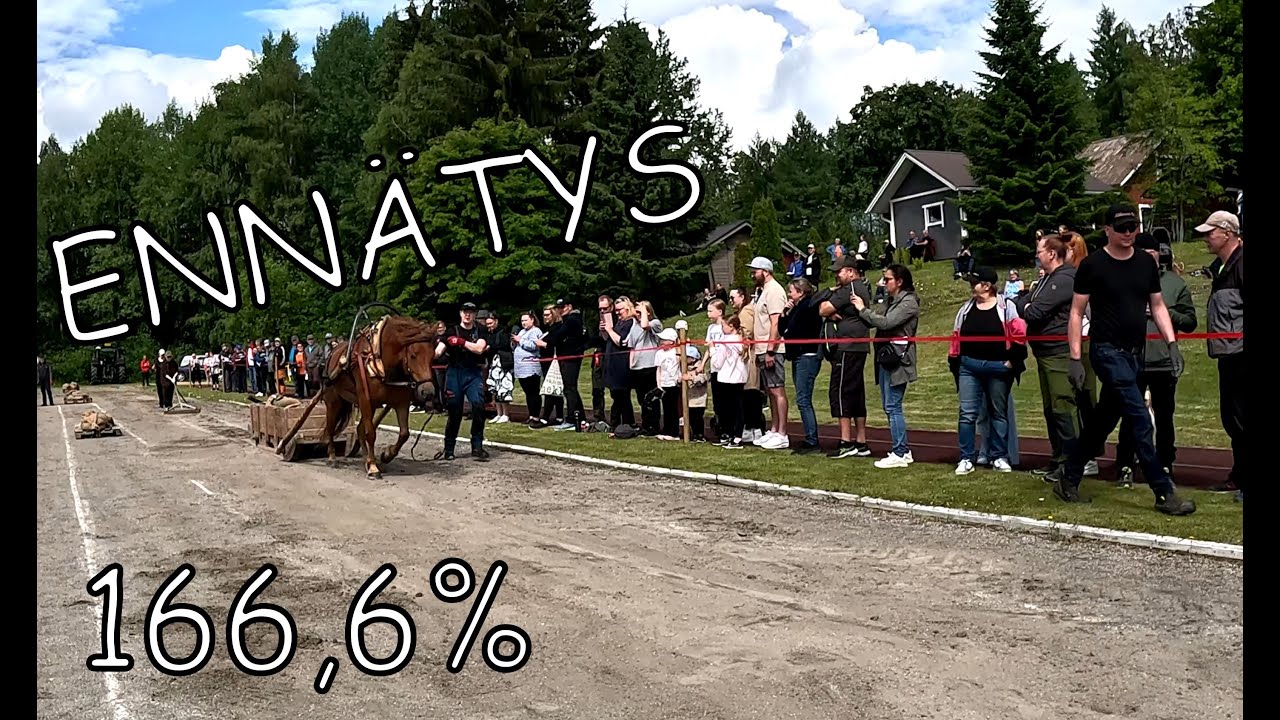 Kaavin pimeät vedot, Go Paukku GO!