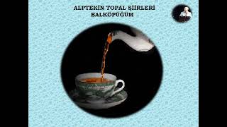 ALPTEKİN TOPAL ŞİİRLERİ - BALKÖPÜĞÜM