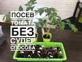 Посев томата без супер способа. Март 2020