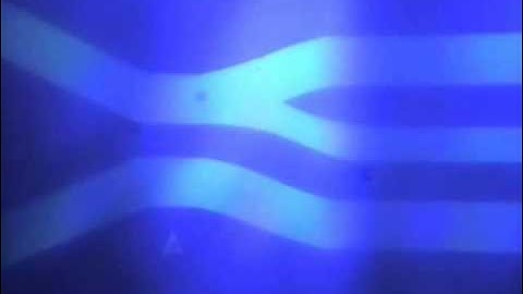 Microparticle Sorting with Light-Pattern-Based Switch-MSCL Lab (Optoelectronic Tweezers, OET)