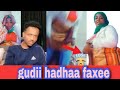 Hatii Faxee Gudii Hojechaa Bulitee Hamizani Hin Ariginee 