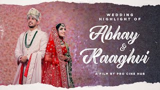 Abhay &amp; Raaghavi | Vaaroon | Mirzapur | Hardum Humdum | Ludo | Wedding Highlight | Pro Cine Hub