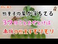 初心者向け！熊童子の育て方、熊童子の葉が落ちる原因６つ、水やりの問題を解決すれば葉落ちのさよなら｜花子