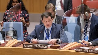 Statement by Chargé d&#39;Affaires Dmitry Polyanskiy at UNSC briefing on the situation in Libya