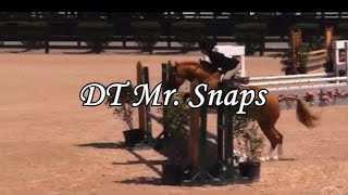 DT Mr. Snaps by Daventry Equestrian 40 views 4 years ago 1 minute, 59 seconds