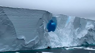 Дрейфующий гигантский айсберг А23а оказался в водах Южного океана