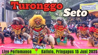 Turonggo Seto  Sambiroto   Performance  Kaliulo Pringapus 15 Juni 2025