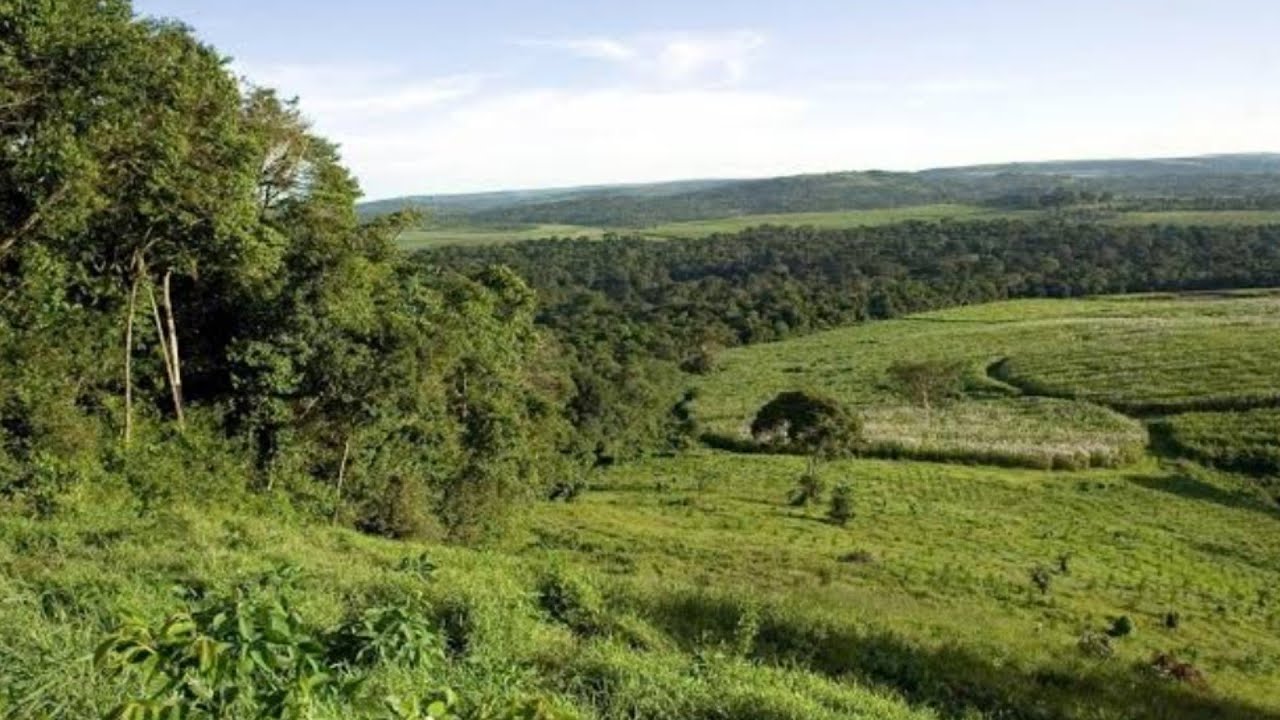 Mabira Forest To Lugazi Town | Where To Go In Uganda (Travel Guide)2026 