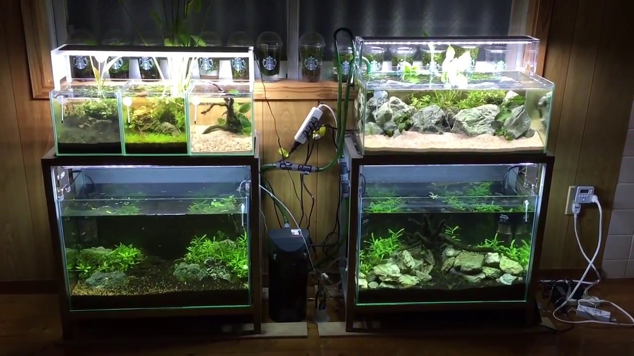 アクアスカイg 新型 Youtube