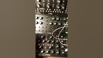 Polyrhythmic Subharmonics on the Moog Subharmonicon