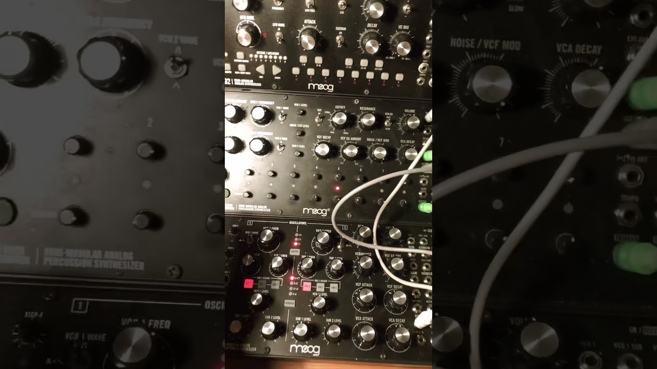 Polyrhythmic Subharmonics on the Moog Subharmonicon