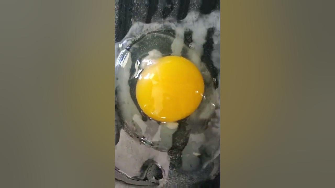 Farm fresh egg VS store bought egg YouTube