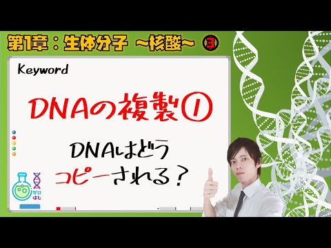 【大学 生化学】第１章：生体分子～核酸③～ DNAの複製① DNAってどうコピーされる？？