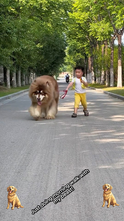 Animal Transformation. Before & After! 😎✨ #shorts #animals #animaltransformation