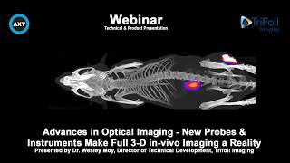 New Probes and Instruments Make Full 3D in vivo Optical Imaging a Reality