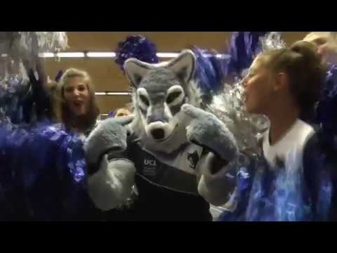 UCL University Team enseignement en espagnol