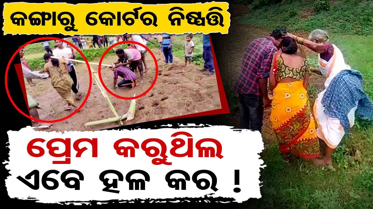 କଙ୍ଗାରୁ କୋର୍ଟର ନିଷ୍ପତ୍ତି : ପ୍ରେମ କରୁଥିଲ ଏବେ ହଳ କର ! | Odisha Reporter