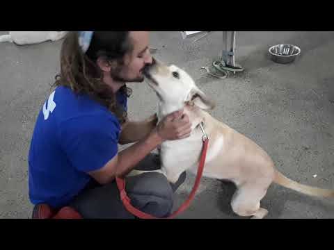 נשיקות חמות ליום קר 