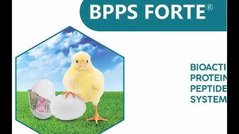 Poultry Enzymes by ABTL