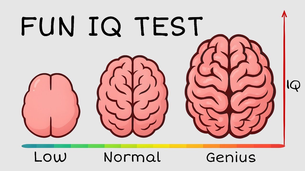 What is Elon Musk’s IQ? The Surprising Truth Behind the Numbers