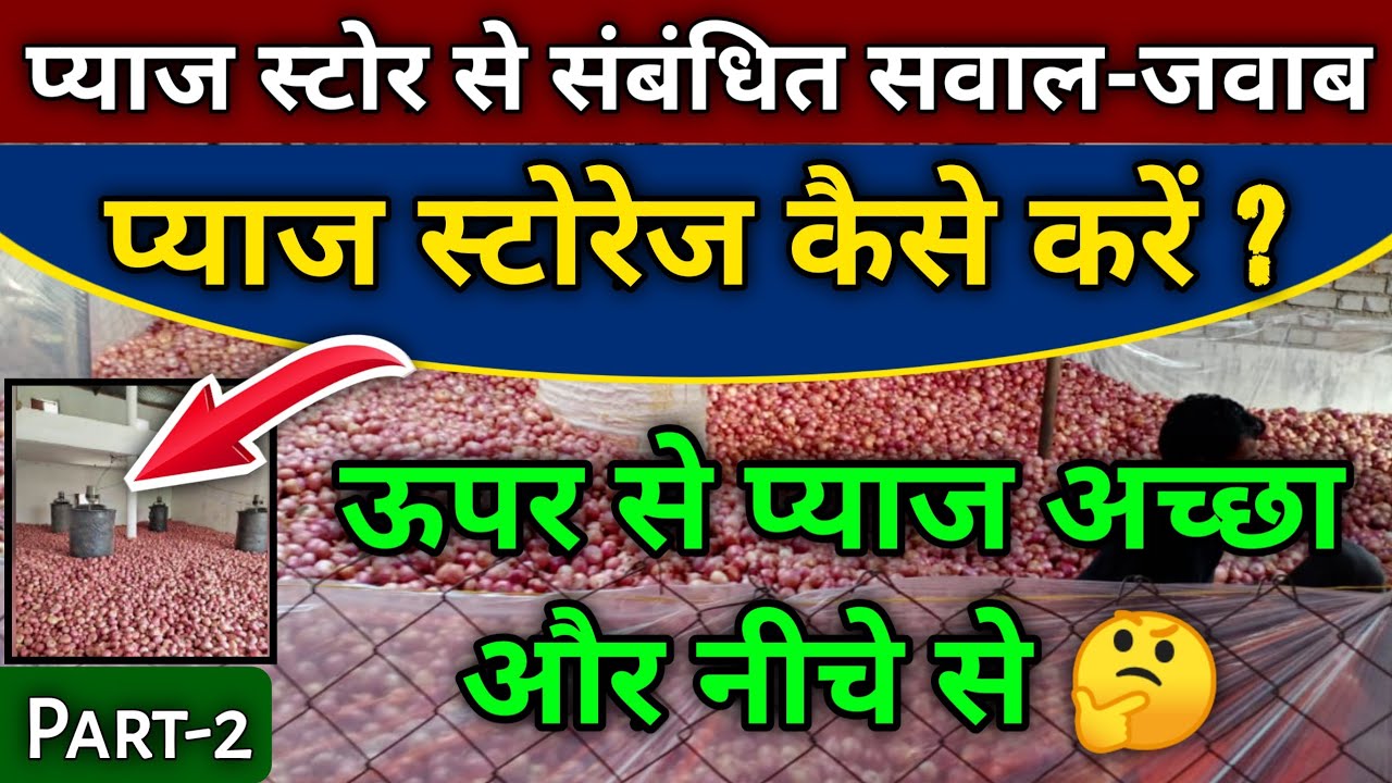 प्याज का भंडारण कैसे करें How To Store Onion Pyaj Store Kaise Kare