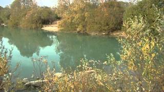 Gigantica Swims - Oblivion