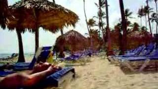 Dominican Beach Palm Tree screenshot 1