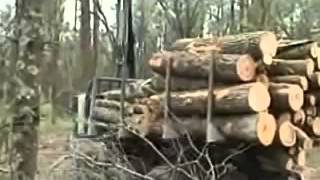 TimberPro TF 830 Forwarder