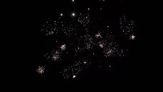 FC209-2 0.8'' 9 shot fireworks cake
