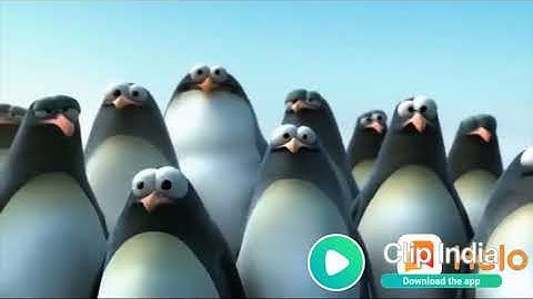 Penguin unity