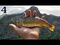 Fly Fishing Trout in the Mountains