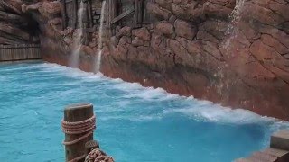 The Wave Pool at Typhoon Lagoon