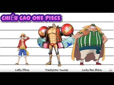 Video CHIỀU CAO CỦA CÁC NHÂN VẬT ONE PIECE P.1 LUFFY KHÁ LÙN... - youtube