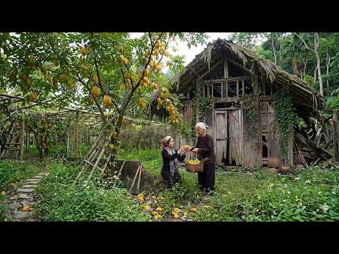 Help the old lady in trouble on the side of the road. And the strange abandoned house.