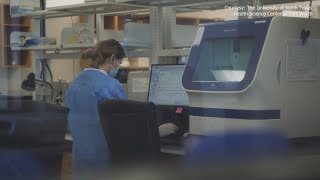 Texas Rangers collect DNA samples sent for testing at UNT in effort to identify flood victims