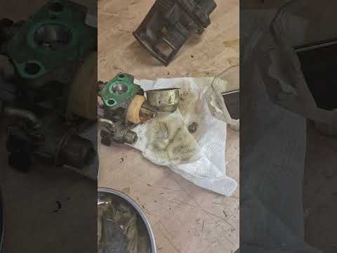 why do you fill your carburetor and cylinder full of motor oil?