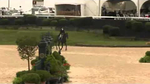 Video of HAPPILY EVER AFTER ridden by PHOEBE ALWIN...