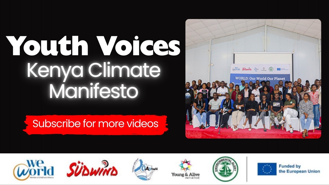 Youth Voices Shaping the Youth Climate Manifesto | Climate Action by Young People (PDF Day 3)