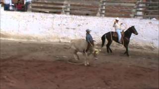 El Tarengo Montando