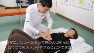 逆流性食道炎、胃炎など、胃腸のお悩み解決のヒント