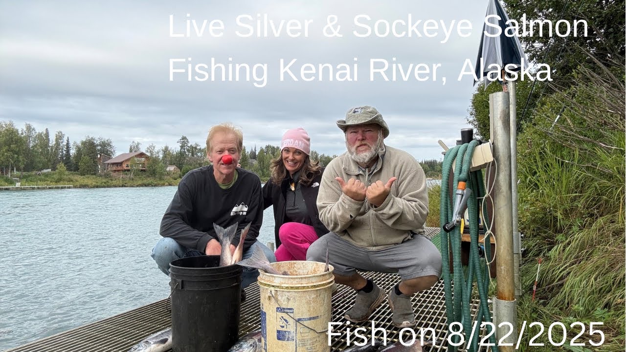 Live Salmon Fishing Alaska | Sockeye & Silver Salmon Kenai River