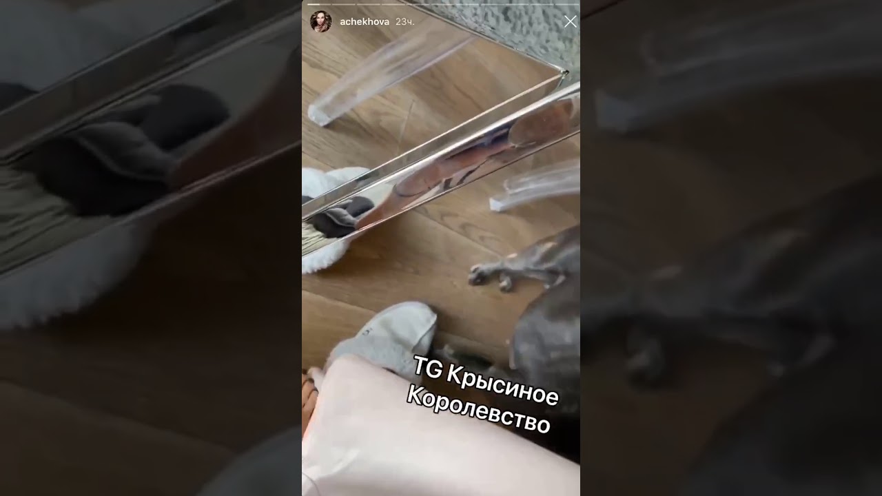 Лижет писю в машине