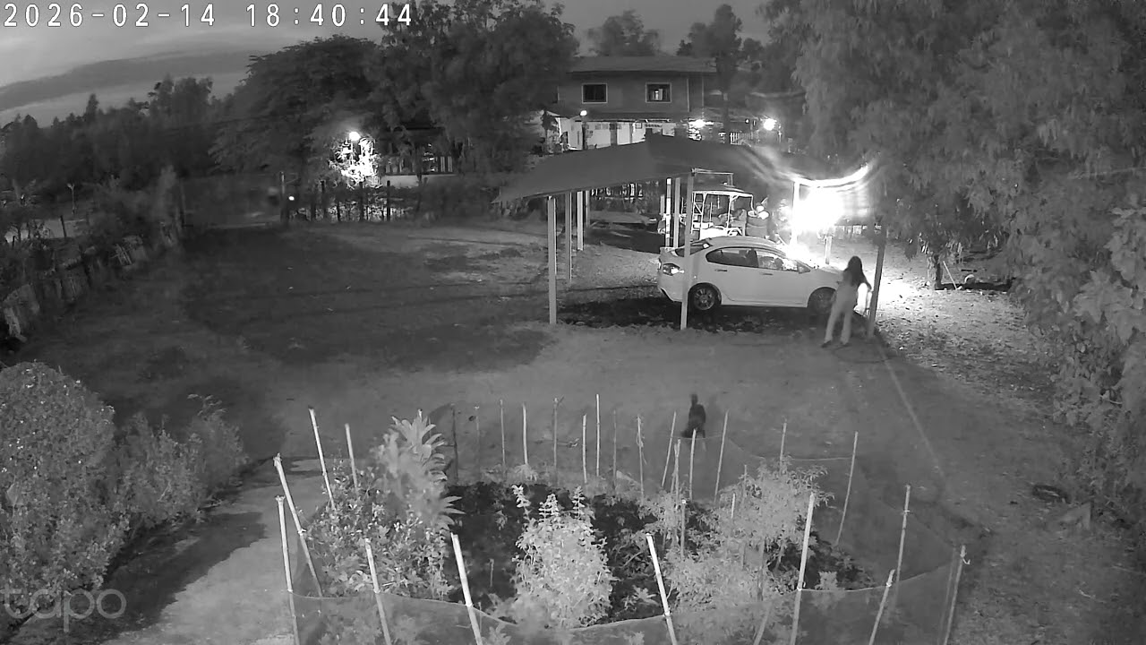 ทำความดี  ทำความดีด้วยการทำความสะอาดรถยนต์