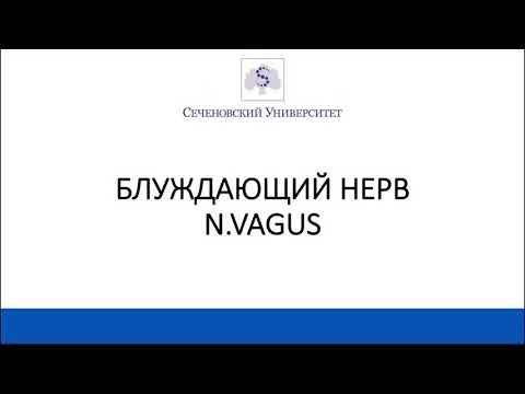 АНАТОМИЯ ЭКЗАМЕН #БЛУЖДАЮЩИЙ НЕРВ