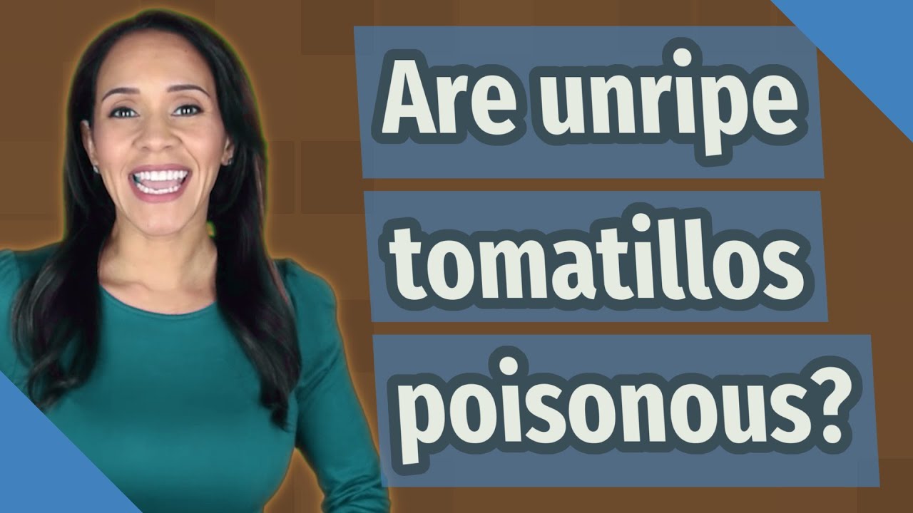 Are unripe tomatillos poisonous? YouTube