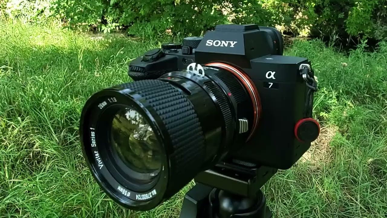Vivitar (Tokina) Series 1 28mm f1.9 Bokeh Test on Sony A7 IV