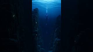 ABYSSAL SPIDER: The Glow Below